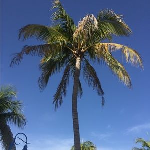 Meet your Posher, Kaylin